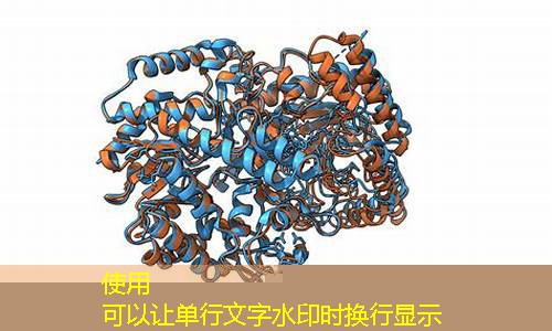 蛋白质结构解析：化学技术的突破